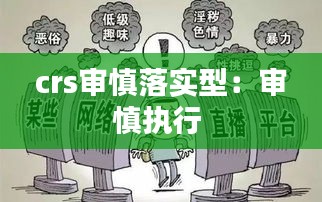 crs审慎落实型：审慎执行 