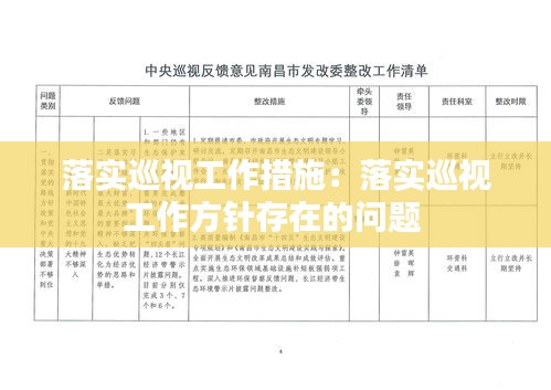 落实巡视工作措施：落实巡视工作方针存在的问题 