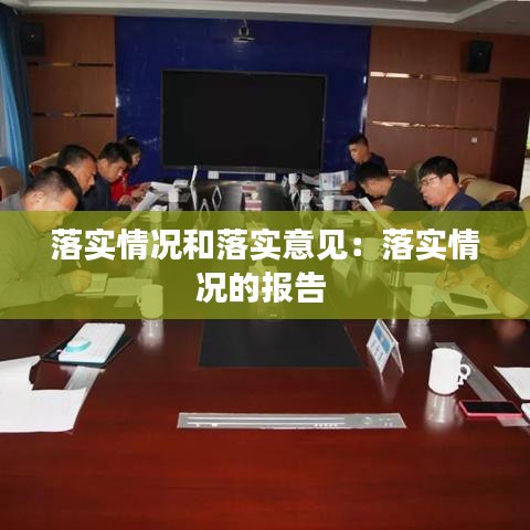 落实情况和落实意见：落实情况的报告 
