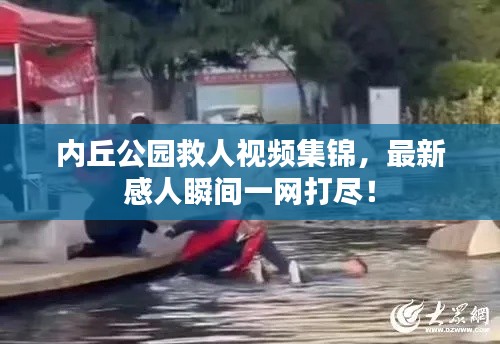 内丘公园救人视频集锦，最新感人瞬间一网打尽！
