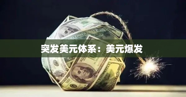 突发美元体系：美元爆发 