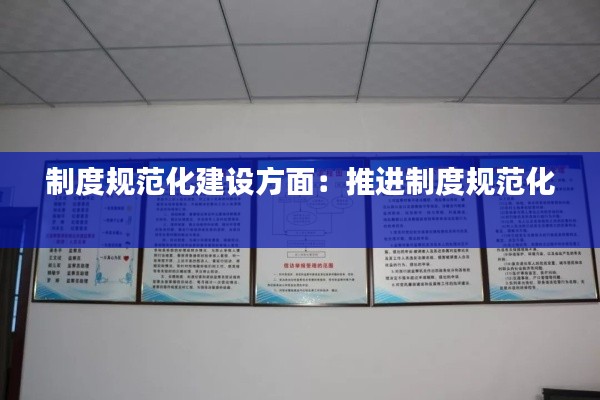 制度规范化建设方面：推进制度规范化 