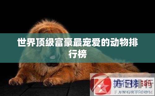 支付方式 第115页