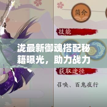 泷最新御魂搭配秘籍曝光，助力战力飙升！