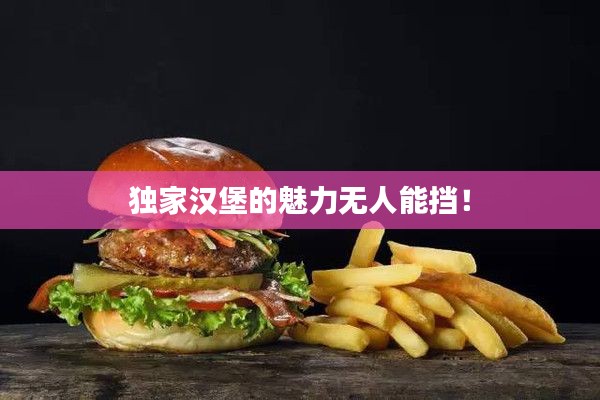 独家汉堡的魅力无人能挡！
