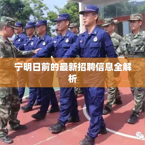 宁明日前的最新招聘信息全解析