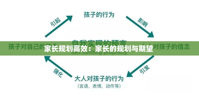 家长规划高效：家长的规划与期望 