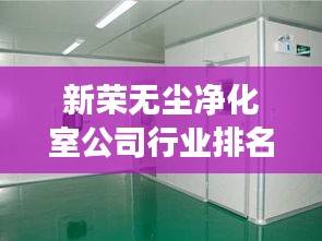 新荣无尘净化室公司行业排名及强大影响力解析