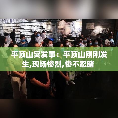半截鸟木 第2页