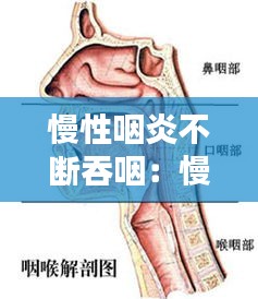投诉说明 第118页