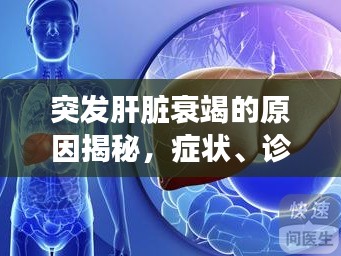 突发肝脏衰竭的原因揭秘，症状、诊断与预防全解析！