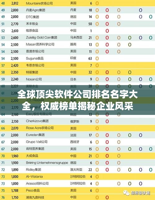 全球顶尖软件公司排名名字大全，权威榜单揭秘企业风采