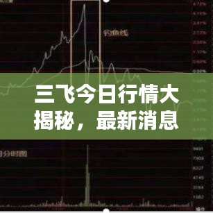 三飞今日行情大揭秘，最新消息一网打尽