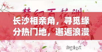 长沙相亲角，寻觅缘分热门地，邂逅浪漫缘分启程点