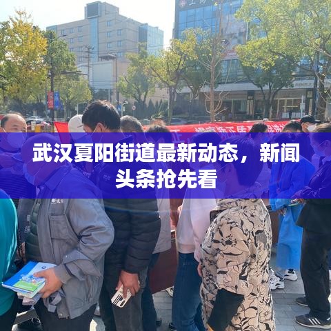 武汉夏阳街道最新动态，新闻头条抢先看