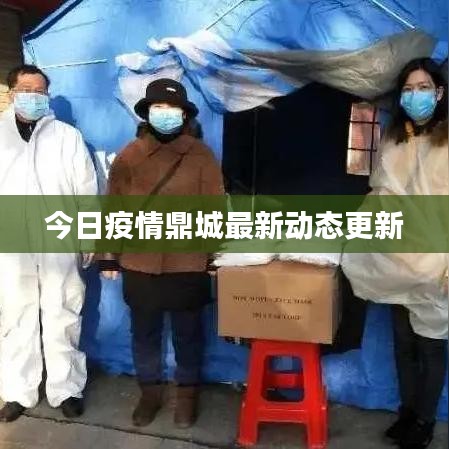 今日疫情鼎城最新动态更新