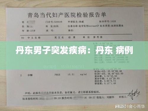 集腋成裘 第2页