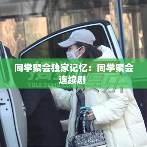 同学聚会独家记忆：同学聚会连续剧 
