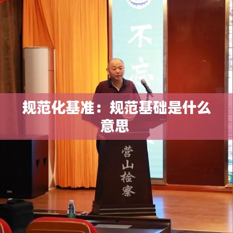 规范化基准：规范基础是什么意思 