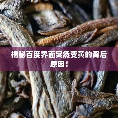 揭秘百度界面突然变黄的背后原因！