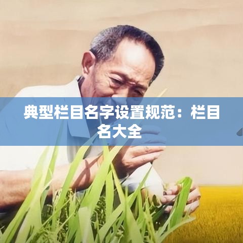 典型栏目名字设置规范：栏目名大全 