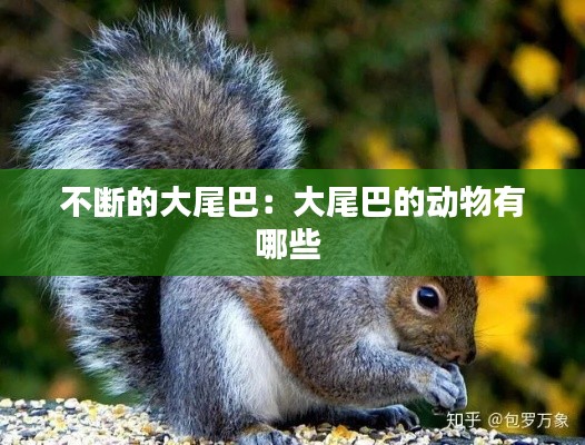 不断的大尾巴：大尾巴的动物有哪些 
