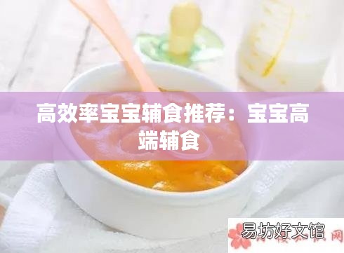 高效率宝宝辅食推荐：宝宝高端辅食 