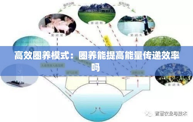 高效圈养模式：圈养能提高能量传递效率吗 