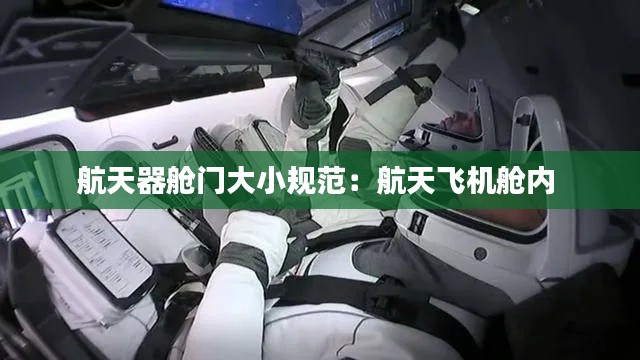 全神贯注 第2页