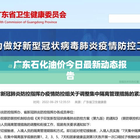广东石化油价今日最新动态报告