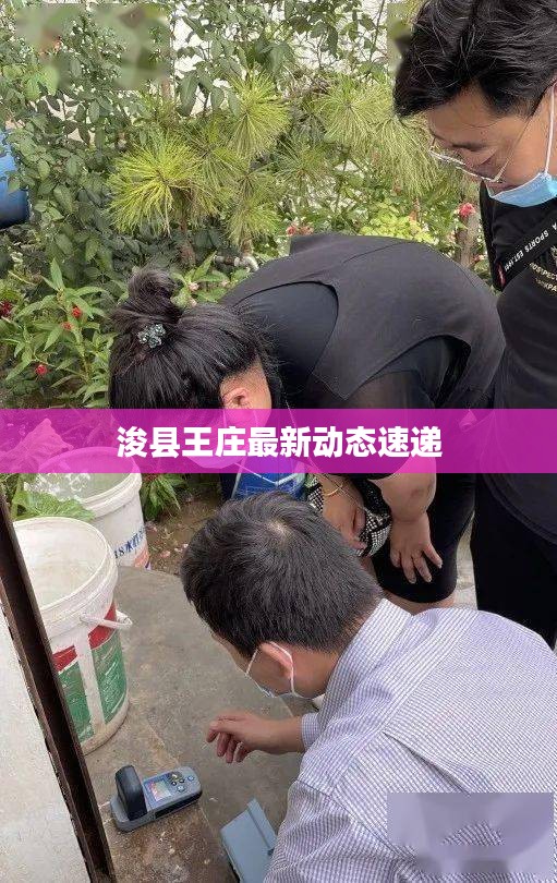 浚县王庄最新动态速递