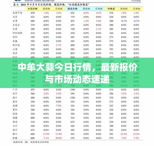 中牟大蒜今日行情，最新报价与市场动态速递