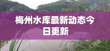梅州水库最新动态今日更新