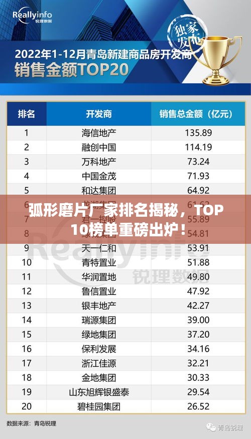 投诉说明 第110页