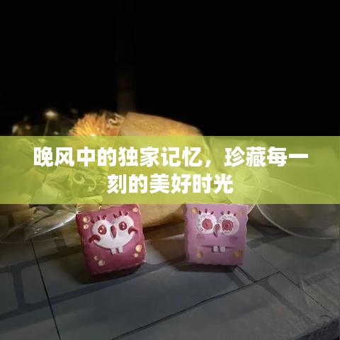 晚风中的独家记忆，珍藏每一刻的美好时光