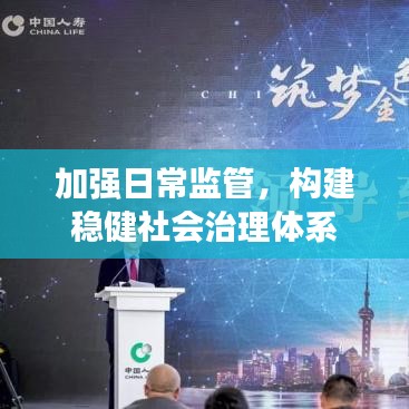加强日常监管，构建稳健社会治理体系