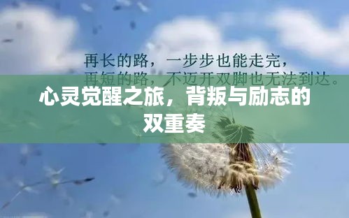心灵觉醒之旅，背叛与励志的双重奏