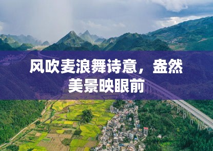 风吹麦浪舞诗意，盎然美景映眼前