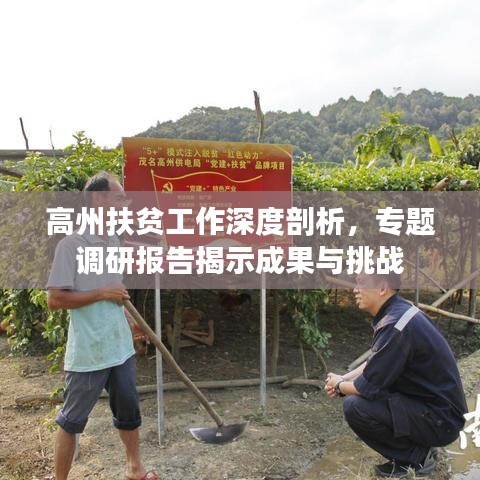 高州扶贫工作深度剖析，专题调研报告揭示成果与挑战