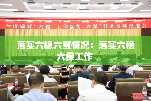 落实六稳六宝情况：落实六稳六保工作 