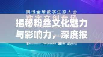 揭秘粉丝文化魅力与影响力，深度报道探究粉丝现象