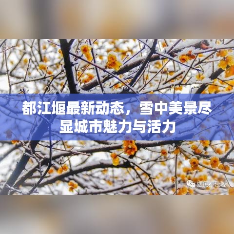 都江堰最新动态，雪中美景尽显城市魅力与活力