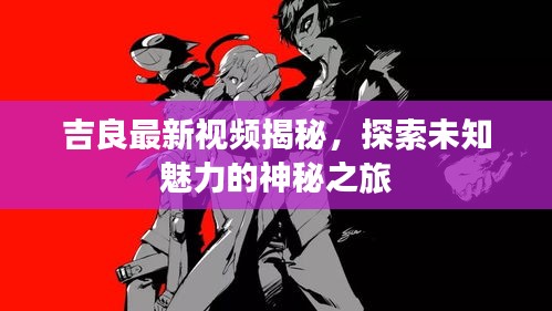 吉良最新视频揭秘，探索未知魅力的神秘之旅