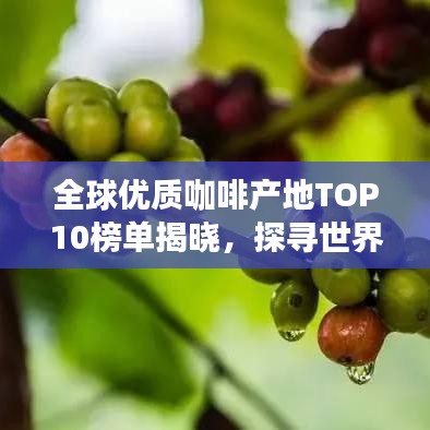 全球优质咖啡产地TOP10榜单揭晓，探寻世界顶级咖啡国度