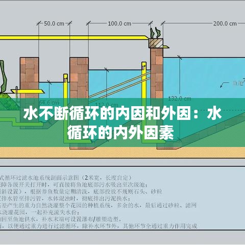 水不断循环的内因和外因：水循环的内外因素 