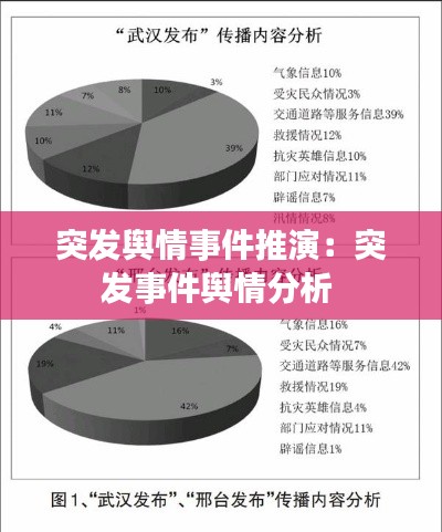 突发舆情事件推演：突发事件舆情分析 