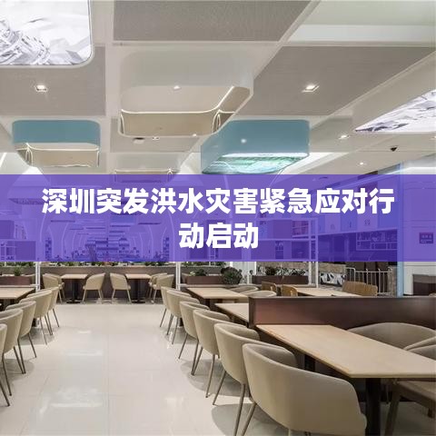 深圳突发洪水灾害紧急应对行动启动