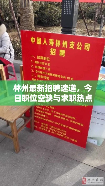 林州最新招聘速递，今日职位空缺与求职热点全解析
