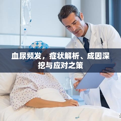 血尿频发，症状解析、成因深挖与应对之策