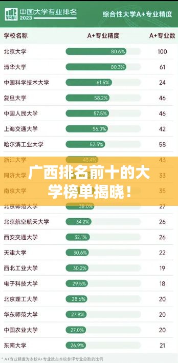 广西排名前十的大学榜单揭晓！